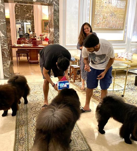 Jai Anshul and Anmol Ambani with pets